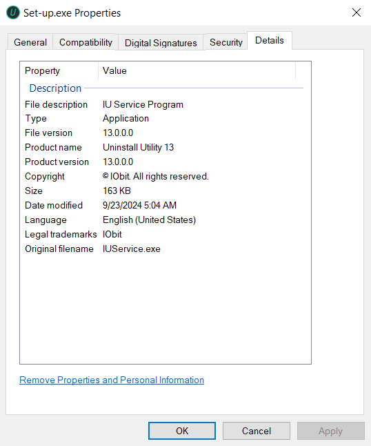 properties of set-up.exe iobit