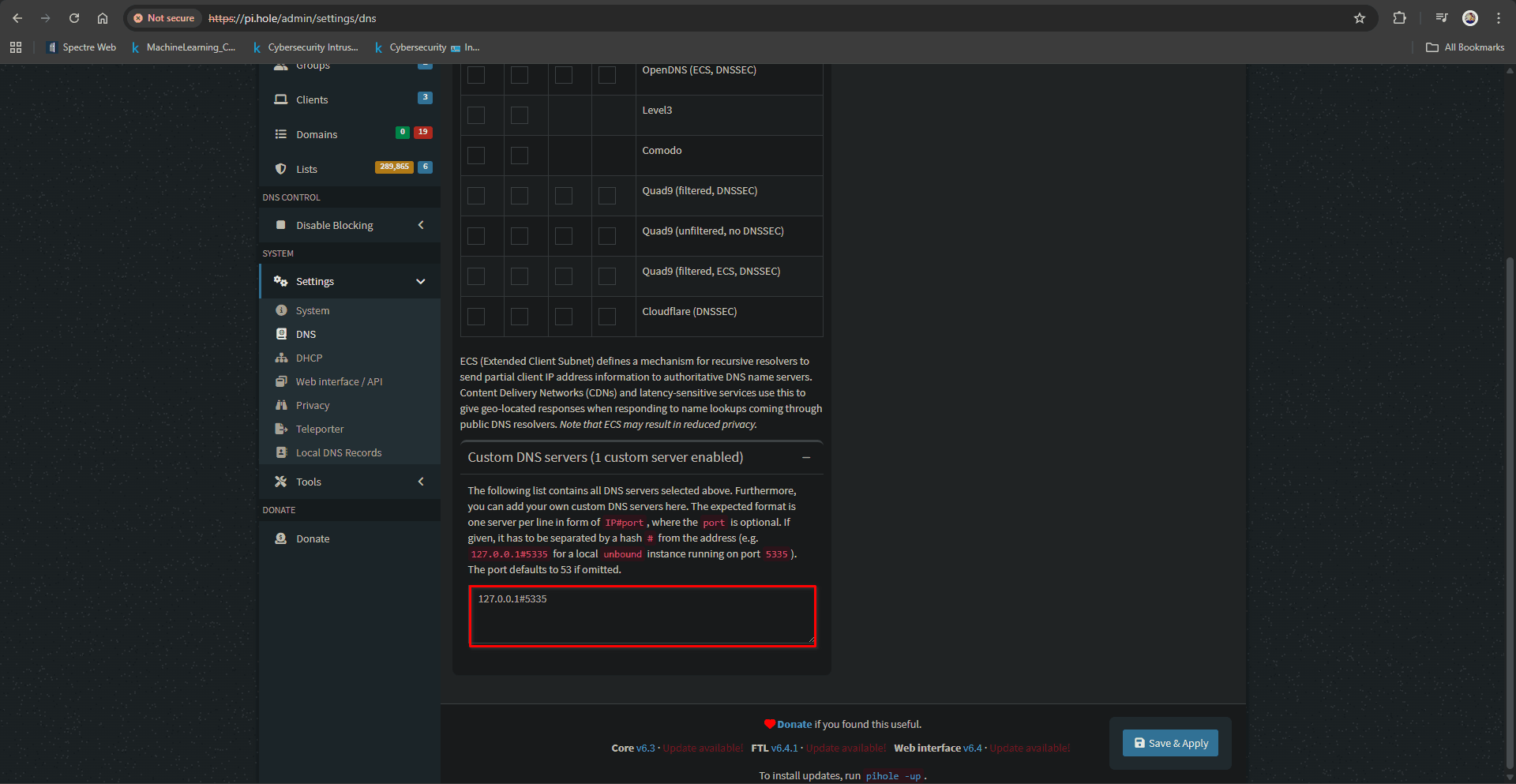 Unbound as DNS server